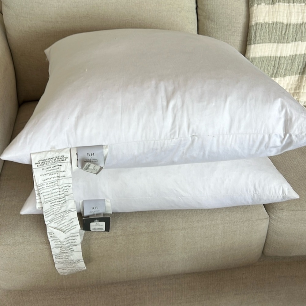 2 Restoration Hardware 22x22 down filled throw pillow inserts. Never used.